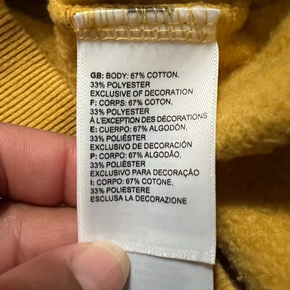 The North Face Men's Hoodie Sweatshirt 